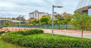 Профессиональное озеленение улиц в Новом Уренгое в октябре