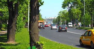 Посадка деревьев и кустарников в Новом Уренгое — стоимость от 1248 руб.